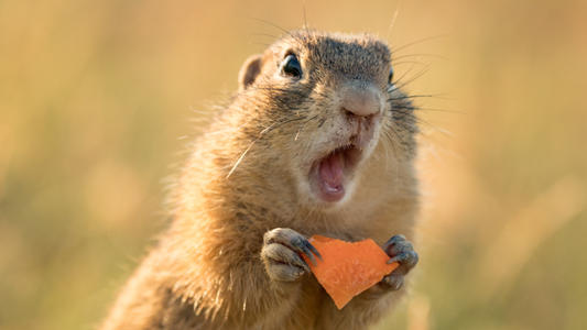 老板对你的真正期望是什么