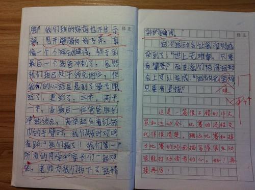 记得春季运动会的组成