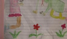 小学二年级读后感