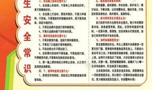 迎新年国旗下讲话稿