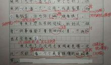 过年包饺子的作文