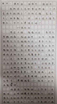 燃放鞭炮作文300字
