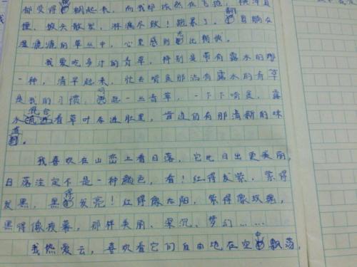 假设我有500字的马