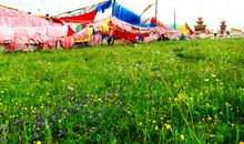 一个也不能少观后感