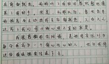 我学会了做饭400字