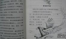 叶圣陶作品读后感