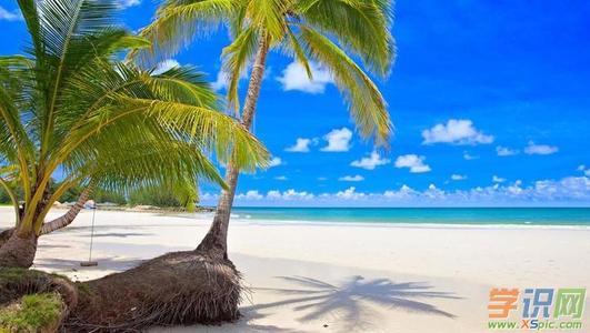 夏日风光作文700字