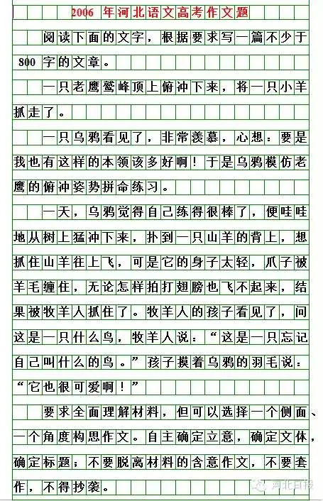 兔子学会游泳