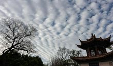 《藏地密码》读后感