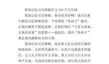 快乐的记忆作文