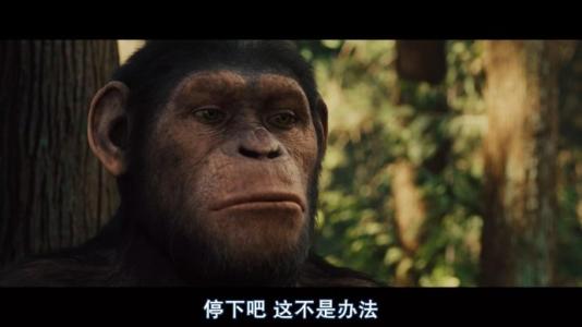 关于猿类崛起的思考