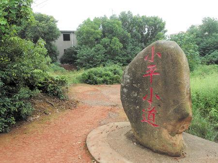 关于小平小岛关的思考