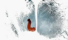 沉默是一种表达