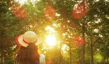 一个温暖的微笑作文