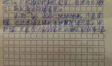 我学会了做饭300字