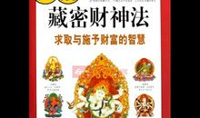 《藏密》读后感