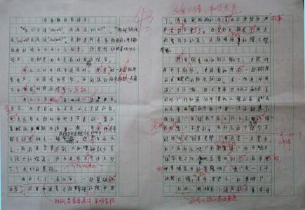 中学毕业后的作文