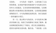 吵架的作文300字