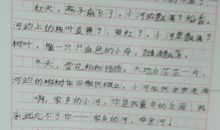 怀念故乡的作文