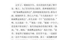 新年趣事作文600字