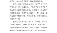 这就是我作文500字