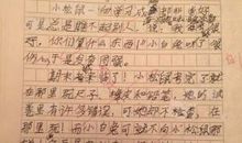 我的故事作文400字