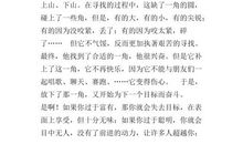 《一个人的第一次》读后感