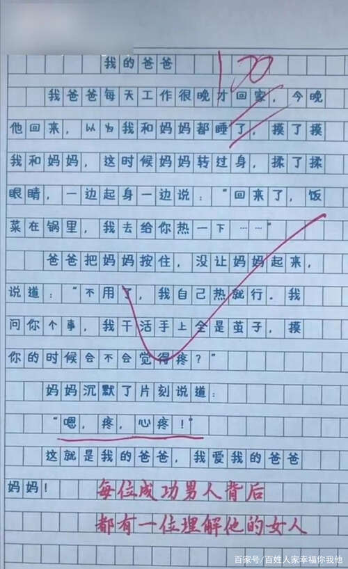 我在小学作文中学到了什么