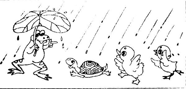 荷叶的启蒙构图