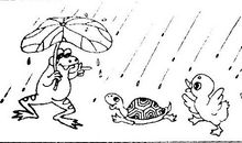 荷叶的启示作文