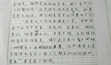 周末里的新鲜事作文