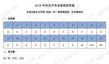 2018河北省中考满分作文：爽（五）