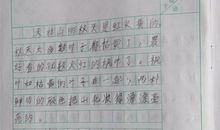 写人的作文800字