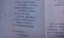 秋颂罗兰读后感