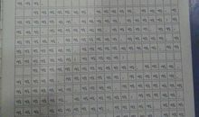 四年级作文小草