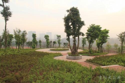 美丽的正方形组成