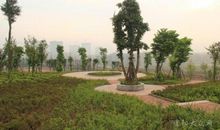 美丽的广场作文