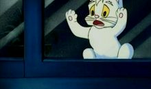 《小贝流浪记》读后感