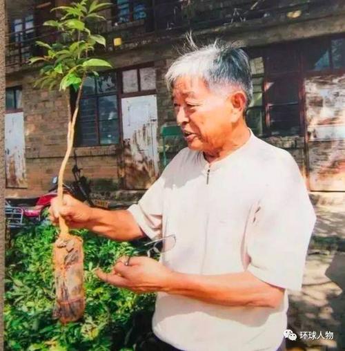 储世建经典语录