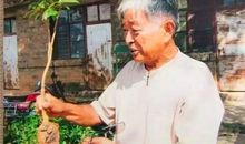 褚时健经典语录