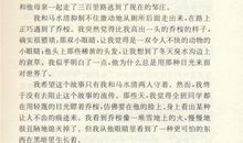 红瓦黑瓦读后感600字