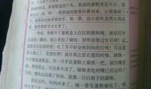 我后悔的一件事作文