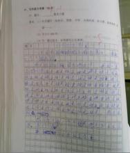 关于幸福的500字作文