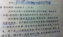 美丽的公园作文300字