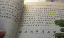 白公鹅读后感