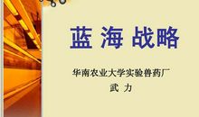 蓝海战略读后感