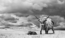 延安，我把你追寻读后感