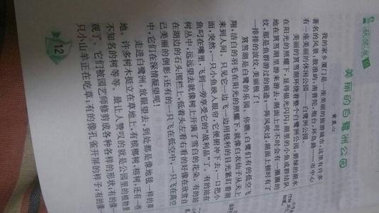 十年后100字的家乡组成