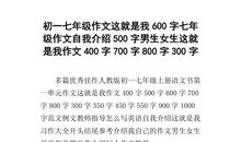 元旦作文700字