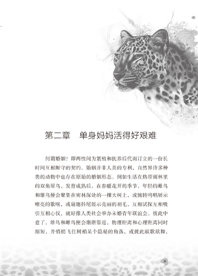 关于阅读《雪豹的影子》的思考